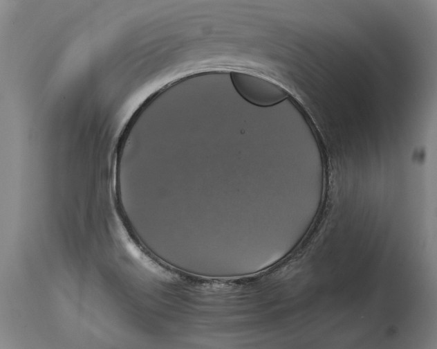 X0000114391515200911061503