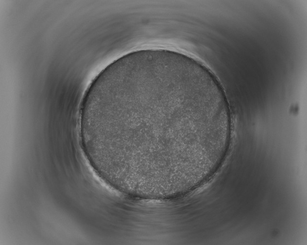 X0000114391517200911061503