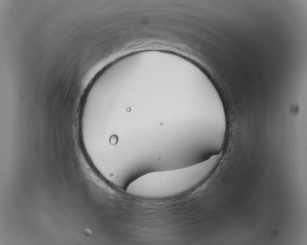 X0000114391518200911061503