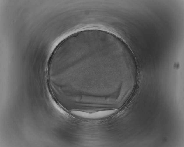 X0000114391519200911061503