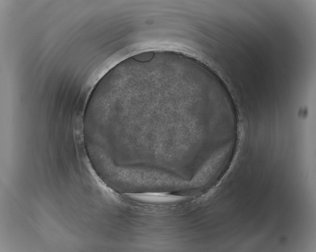 X0000114391521200911061503