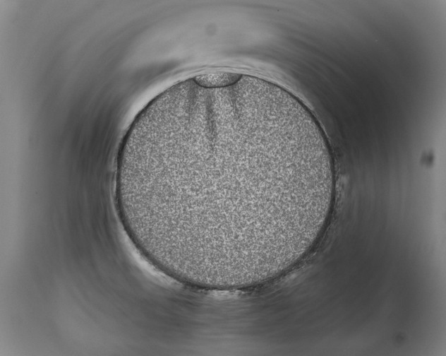 X0000114391523200911061503