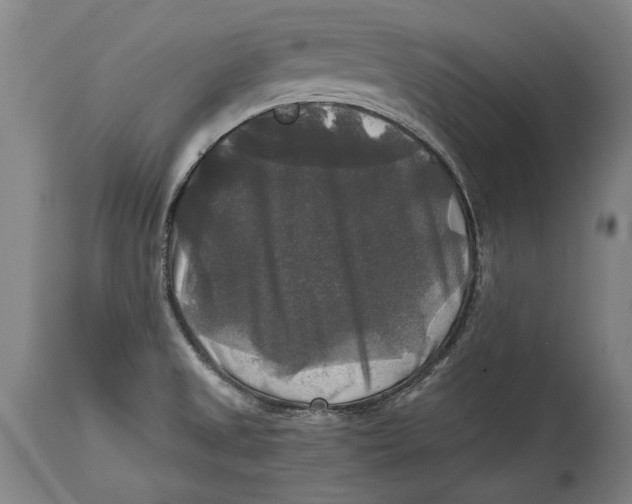 X0000114391525200911061503