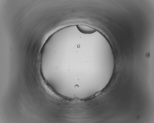 X0000114391526200911061503