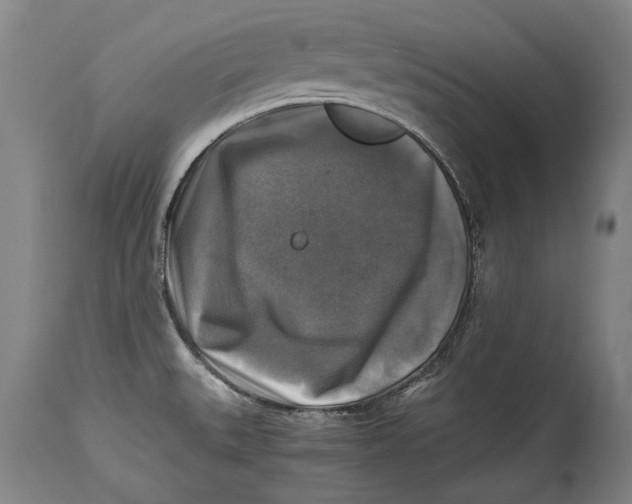 X0000114391527200911061503