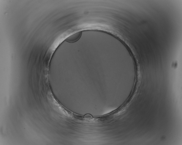 X0000114391529200911061503