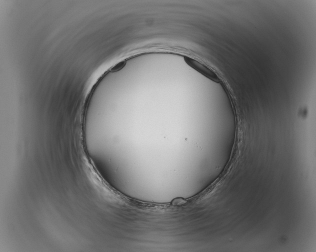 X0000114391530200911061503