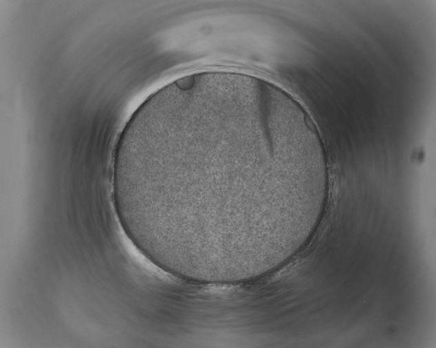 X0000114391531200911061503