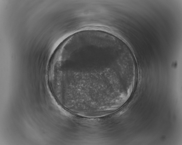 X0000114391533200911061503