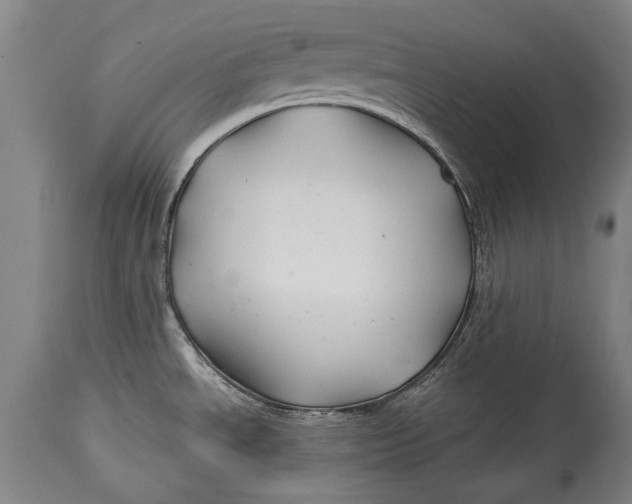 X0000114391534200911061503
