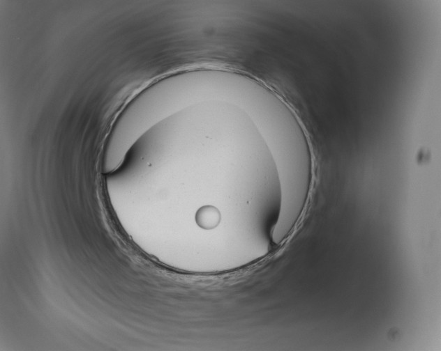 X0000114390001200911131353