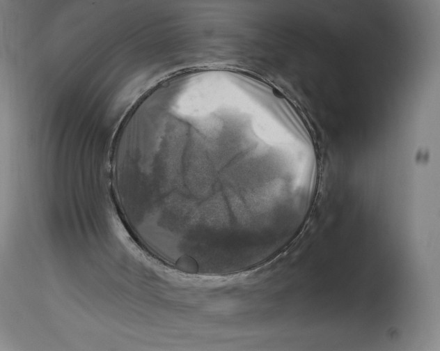 X0000114390002200911131353