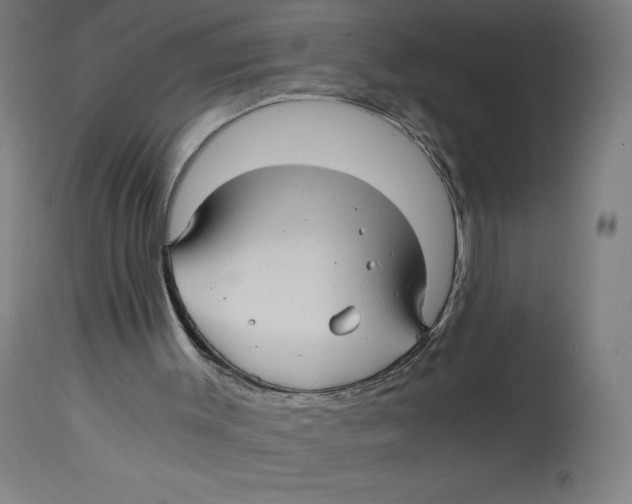 X0000114390003200911131353