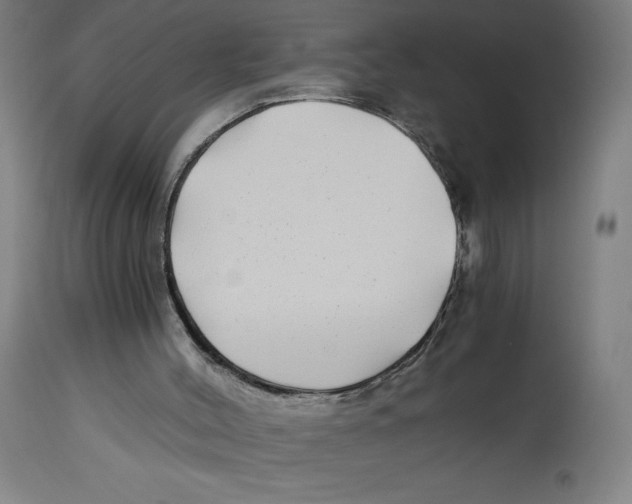 X0000114390004200911131353