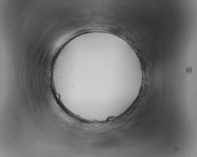 X0000114390005200911131353