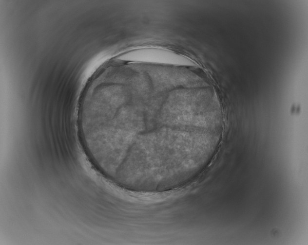 X0000114390006200911131353