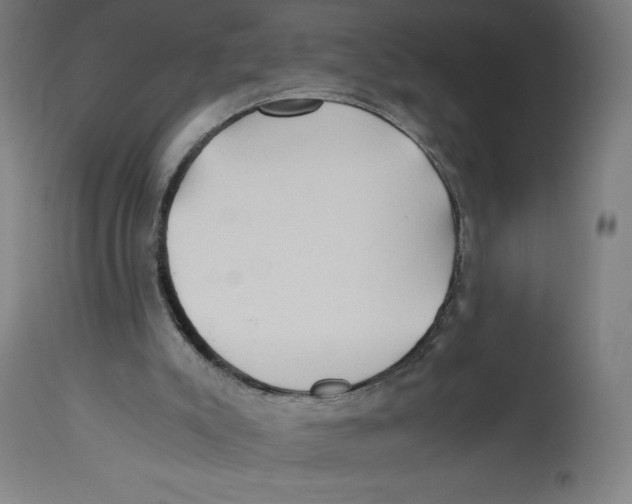 X0000114390007200911131353