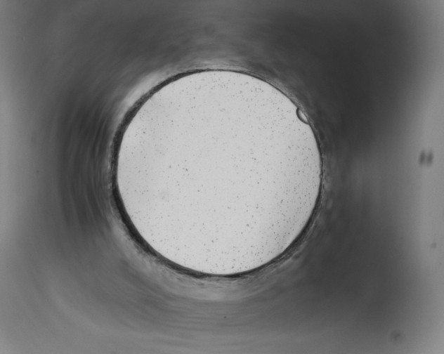 X0000114390008200911131353