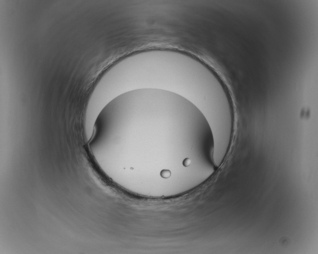 X0000114390009200911131353