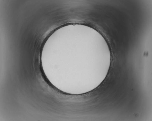 X0000114390011200911131353