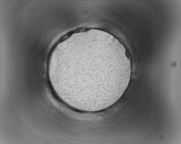 X0000114390012200911131353