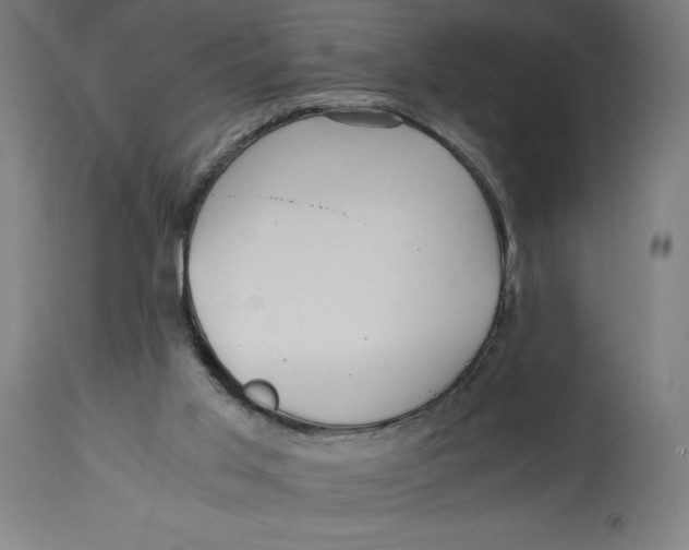 X0000114390013200911131353