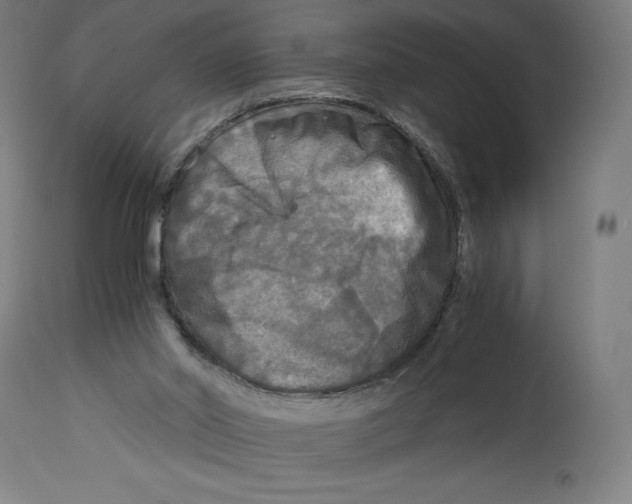 X0000114390014200911131353