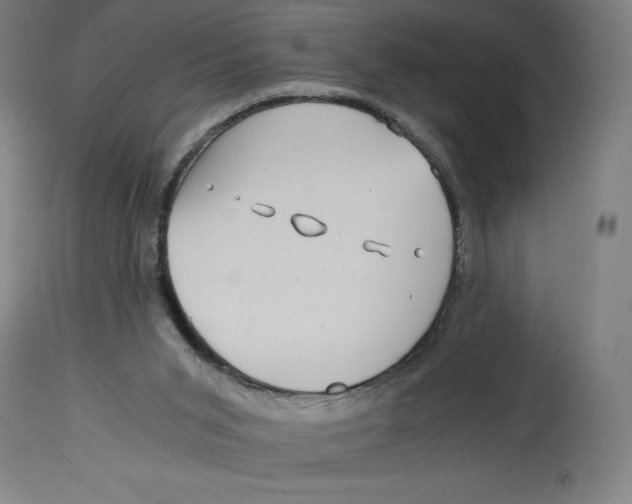 X0000114390015200911131353