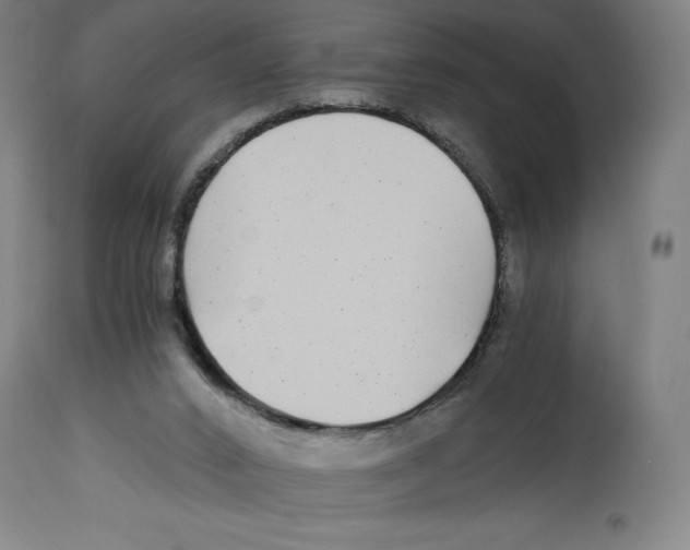 X0000114390016200911131353