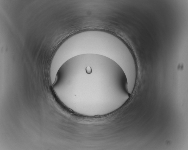 X0000114390017200911131353