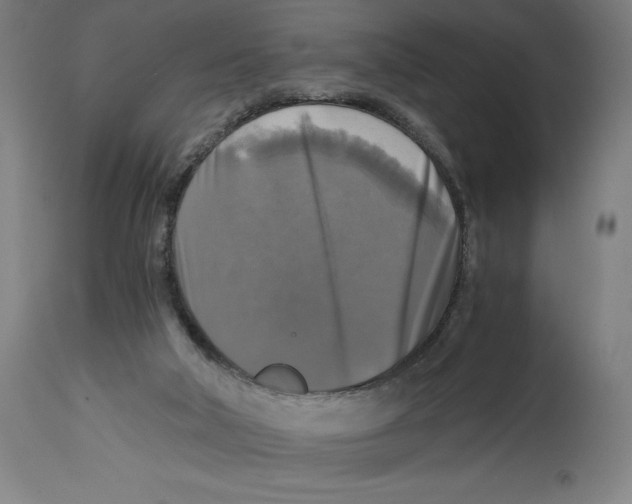 X0000114390018200911131353