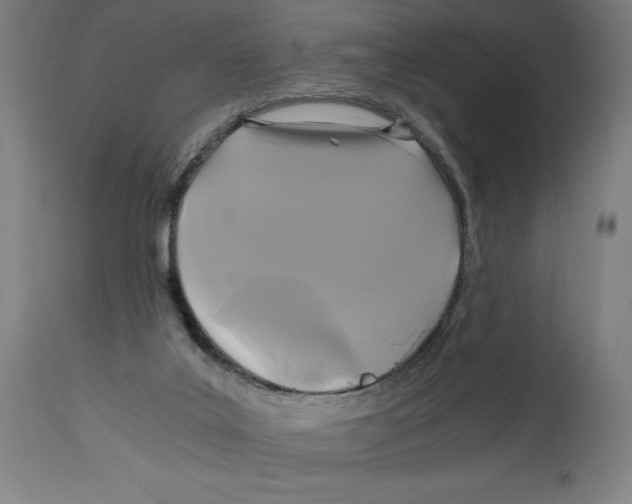 X0000114390019200911131353