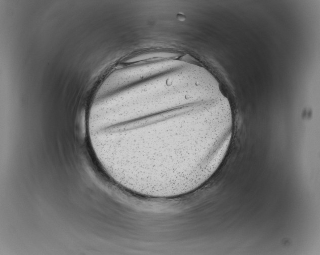 X0000114390020200911131353