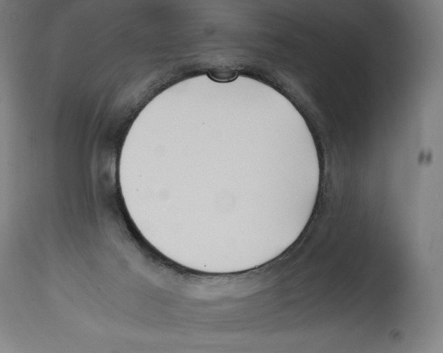 X0000114390021200911131353