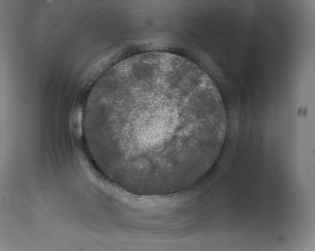 X0000114390022200911131353