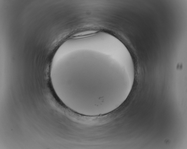 X0000114390023200911131353