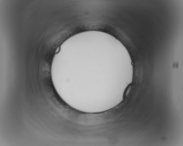 X0000114390025200911131353