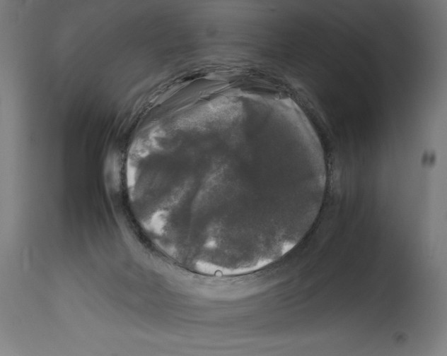 X0000114390026200911131353