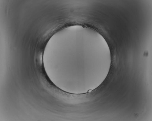 X0000114390027200911131353