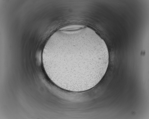 X0000114390028200911131353