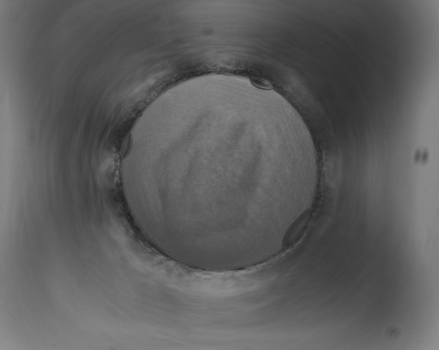 X0000114390029200911131353