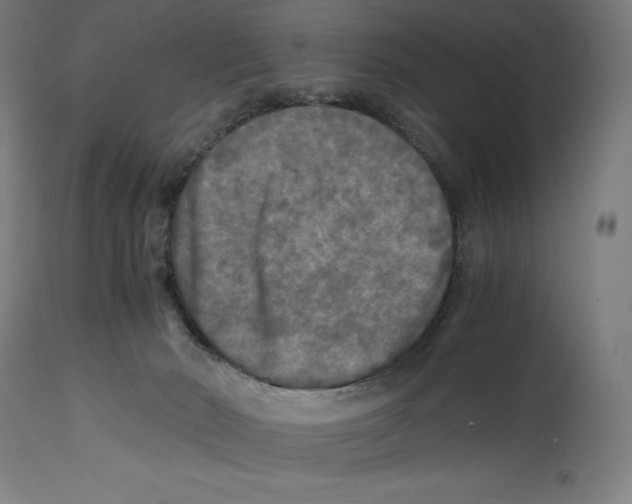 X0000114390030200911131353