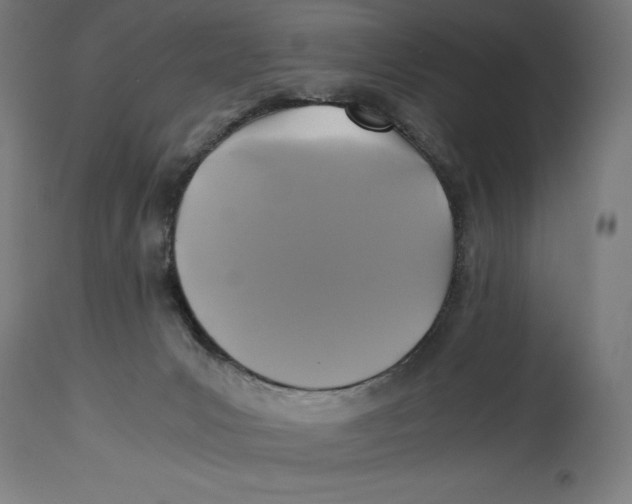 X0000114390031200911131353