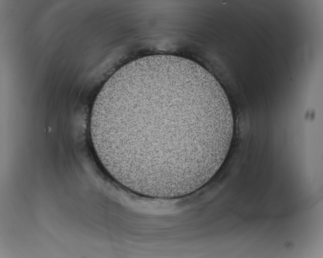 X0000114390032200911131353