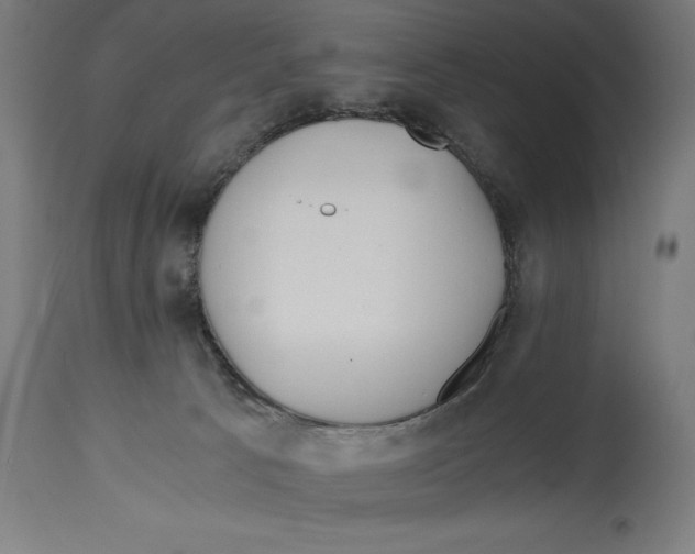 X0000114390033200911131353