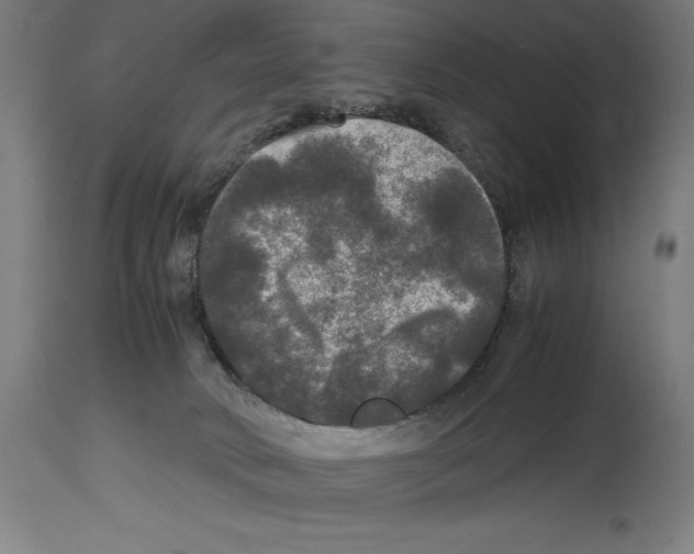 X0000114390034200911131353