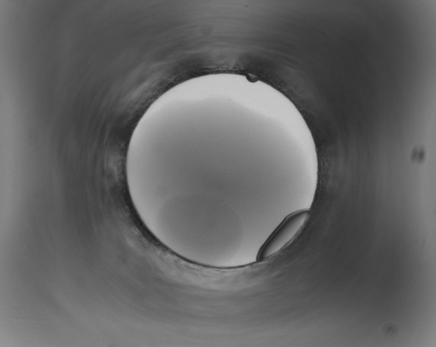 X0000114390035200911131353