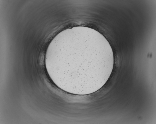 X0000114390036200911131353