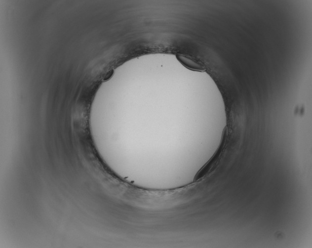 X0000114390037200911131353