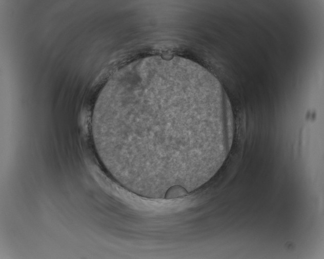 X0000114390038200911131353